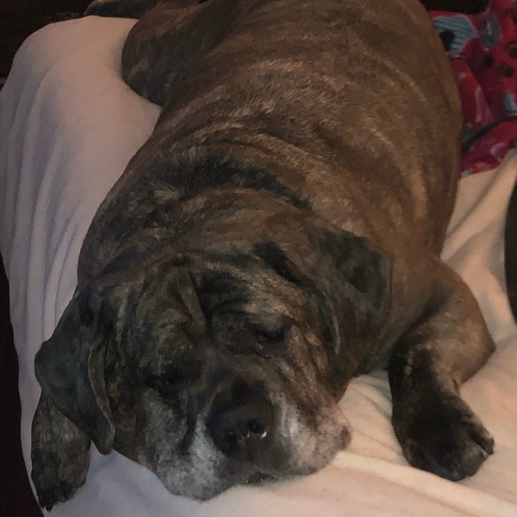 About Me - Picture 10 of 12